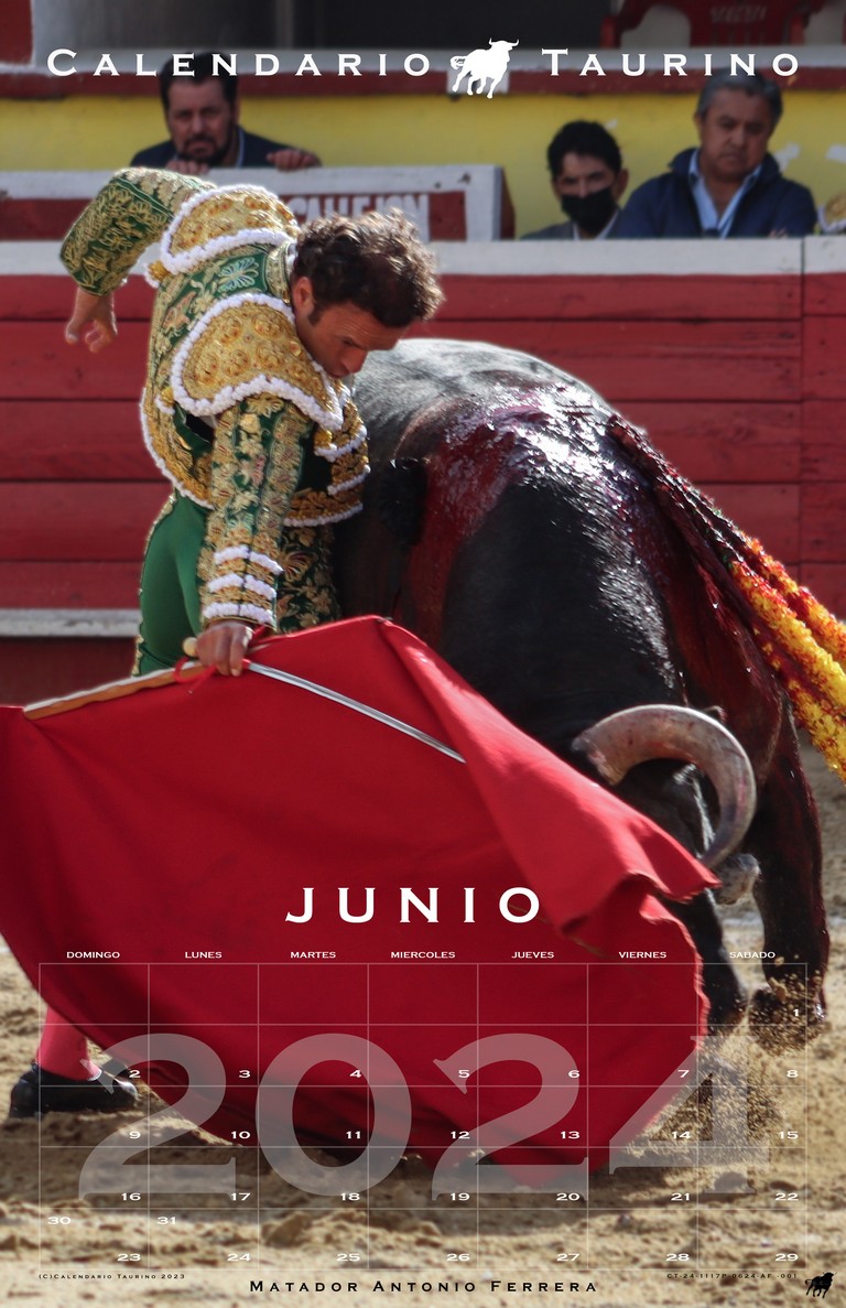 Matador - Muleta - Image 3